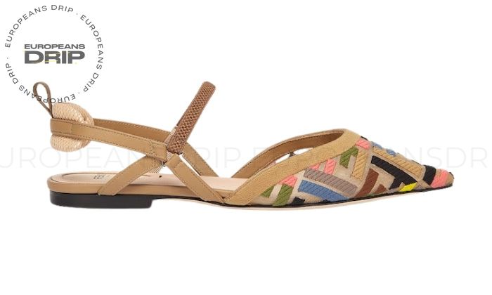 Ballet Flats Mesh Multicolor with Heel Low
