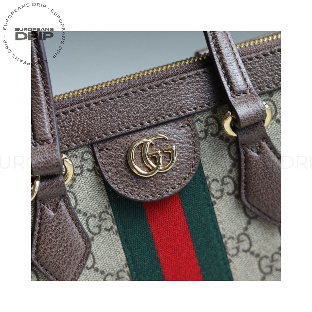 Bag Ophidia Brown 24 cm