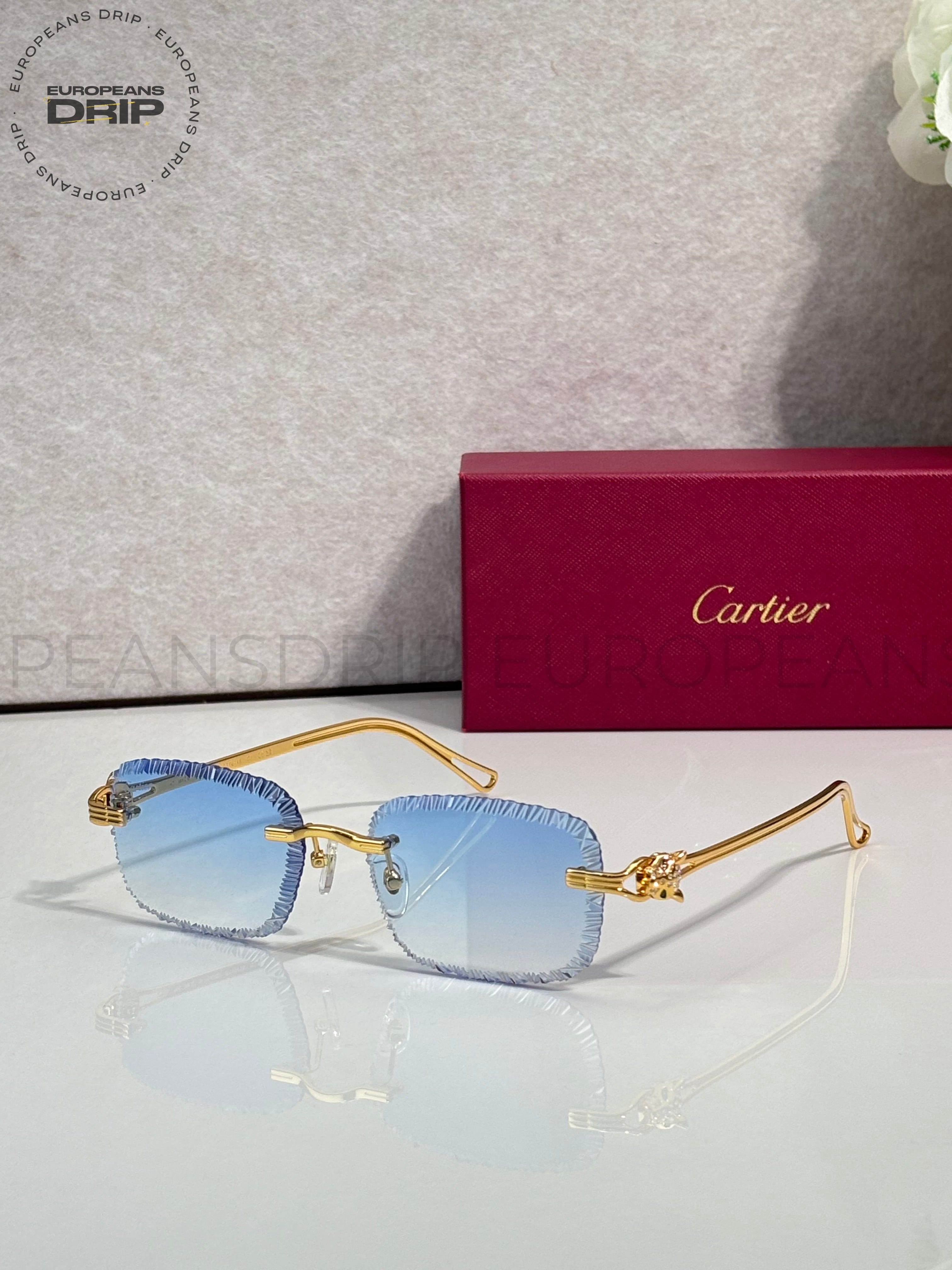 Glasses