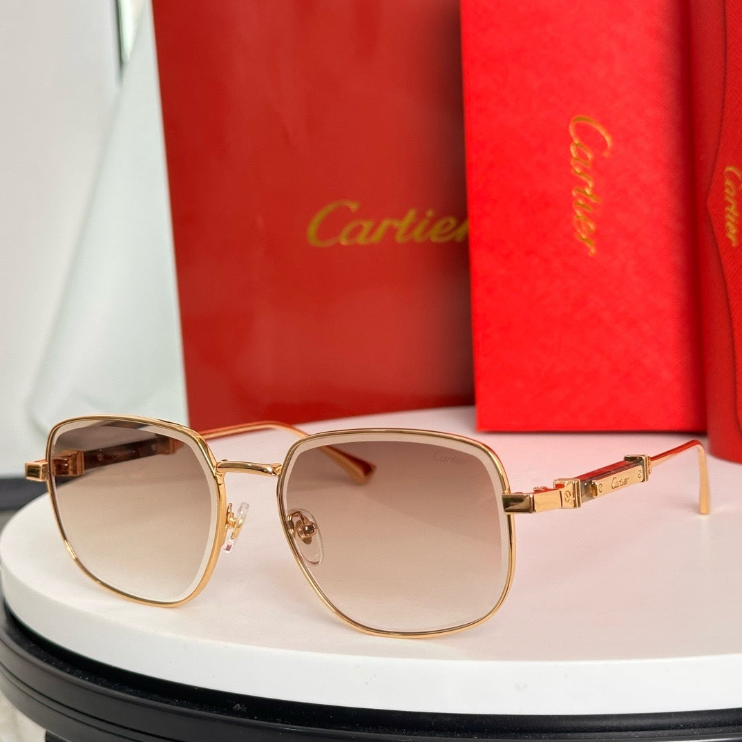 Glasses