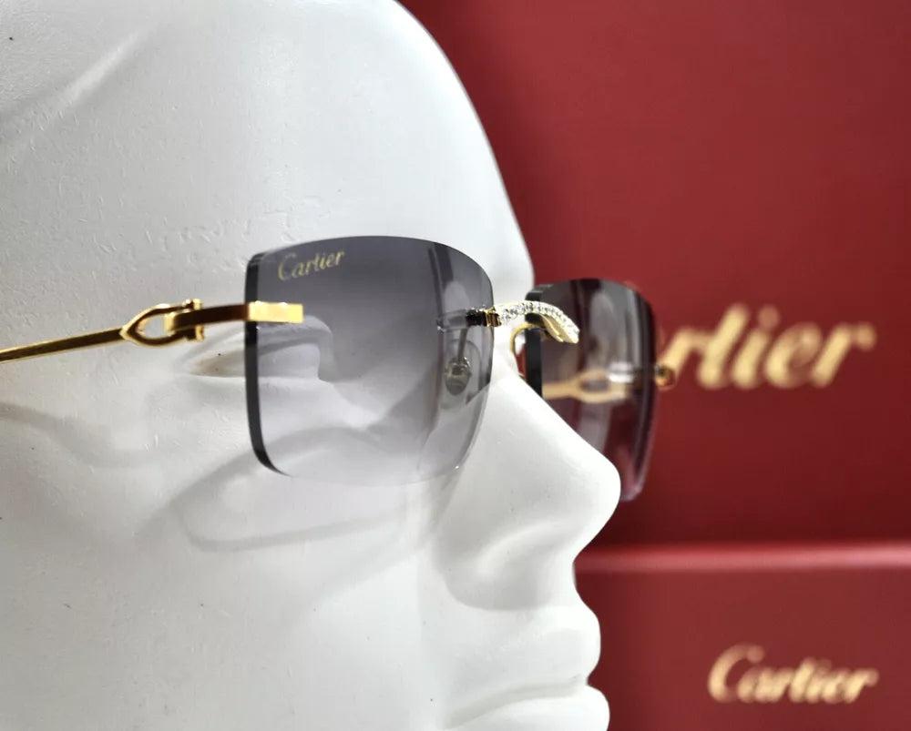 Glasses